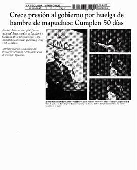 Crece presión al gobierno por huelga de hambre de mapuches: Cumplen 50 días.