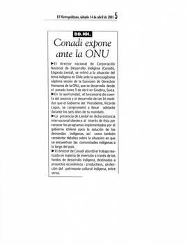 CONADI expone ante la ONU