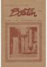 Boletín N°24