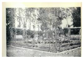 Jardín y flores de Villa Grimaldi
