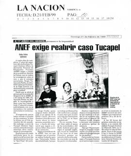 ANEF exige reabrir caso de Tucapel